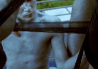 ROSA- ODER WELCHE FARBE HAT DAS LEBEN!