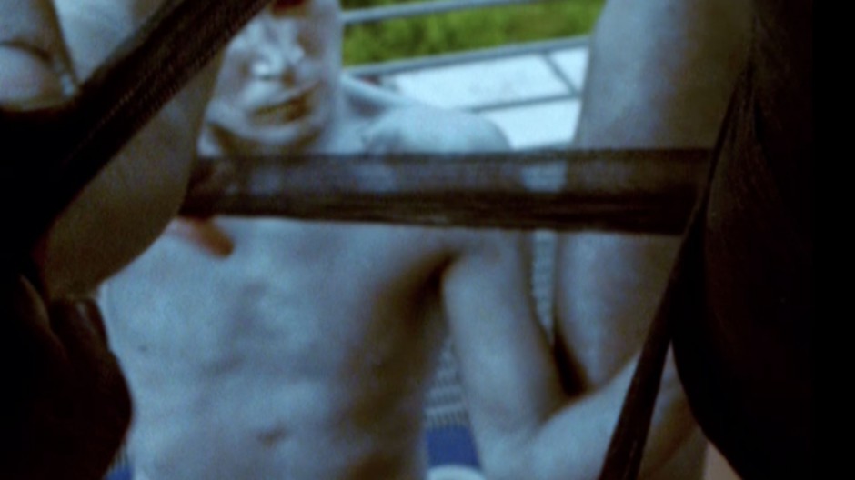 ROSA- ODER WELCHE FARBE HAT DAS LEBEN!