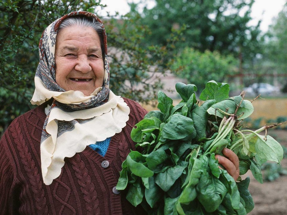 Frau mit Spinatwoman with spinach