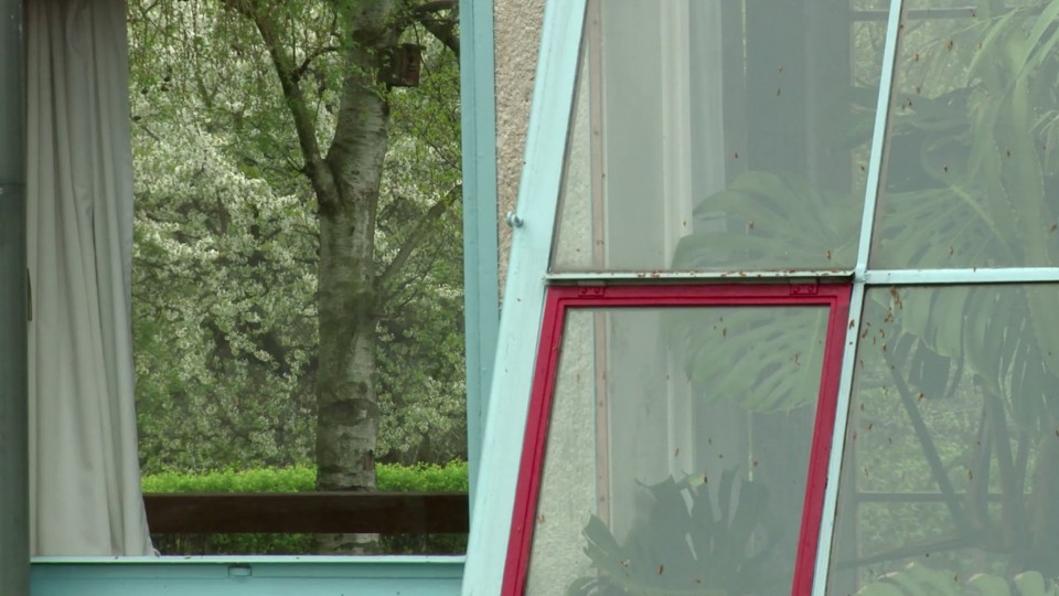 Moira Zoitl- Küchentorso